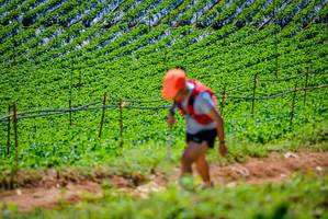 BIB: 
                            <button type="button" onclick="openModal(19164357)" class="btn btn-primary btn-sm float-right btn-popup" data-toggle="modal" data-target=".modal-high-quality">
                        <i class="fas fa-shopping-cart"></i> Add to Cart
                    </button>
                                            <button type="button" onclick="isThisMe(19164357, true)" class="btn btn-success btn-sm float-right btn-popup btn-isme hidden" data-toggle="tooltip" data-placement="bottom" title="นี่คือรูปของคุณใช่ไหม คลิกที่นี่เพื่อเอาเข้าอัลบั้ม">
                        <i class="fas fa-plus"></i> Add to album
                    </button>
                    <button type="button" onclick="isThisMe(19164357, false)" class="btn btn-warning btn-sm float-right btn-popup btn-isnotme hidden">
                        <i class="fas fa-ban"></i> Remove from album
                    </button>